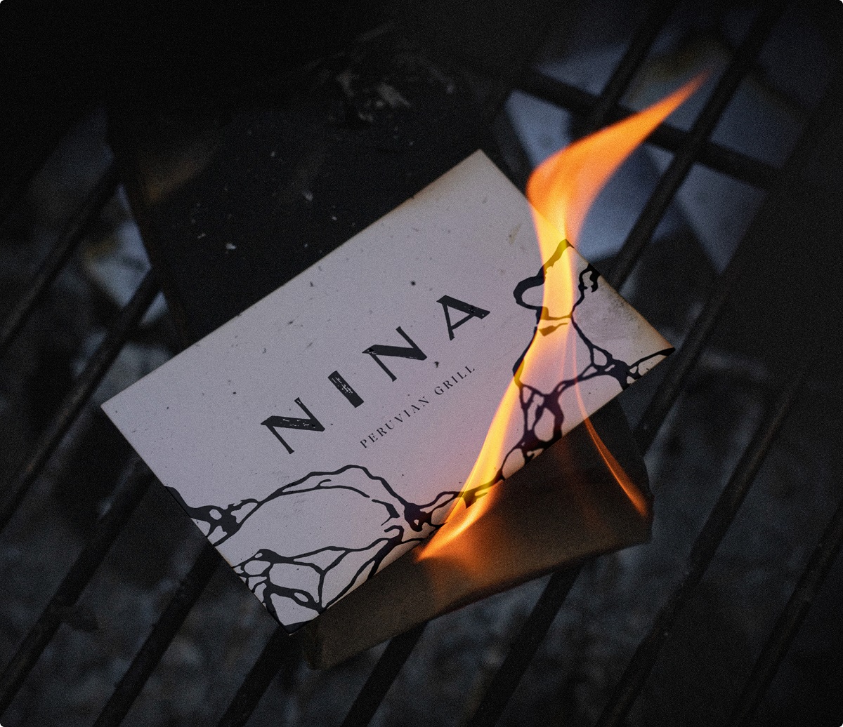 fire and Nina logo building brand identity