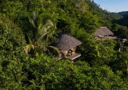 Buahan Banyan Tree Bali view from the treetops