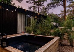 external view of Mori tinyhouse in the forest with fairylights and plungepool