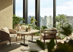 lounge area in1 Hotel Tokyo with floor to ceiling windows with views over trees and city