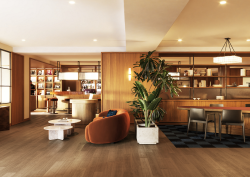 Miiro Spittelberg lobby cgi