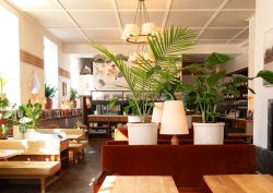 restaurant with plants Hotel Kinsley, Kingston’s first destination hotel