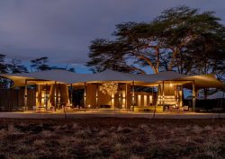tented safari camp and thorn trees at dusk at Angama-Amboseli Kenya