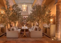 soft lighting in hotel courtyard with couches, columns and olive trees at Casa Alondra