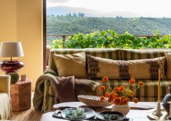 Tamodi Estate South Africa - couch in front of a window with view onto vines and mountains