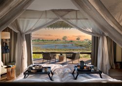 view from bed in tented camp Daunara in the Okavango delta