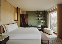park suite in The emory with bed facing floor to ceiling window