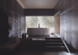 Contemporary bathroom, with raised bath tub. Dark walls and tub is backlit by large window. All TOTO bathroom products.