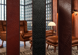 Leather chair and leather strips