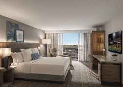 render of guestroom for Omni Tempe Hotel ASU