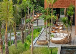 palm trees surround wooden deck with wicker lounging chairs at Garrya Bianti Yogyakarta