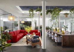 Graduate-by-Hilton-Dallas-Lobby-