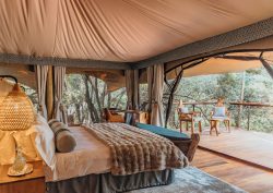 tented treetop camp bedroom in Mara Toto Tree camp