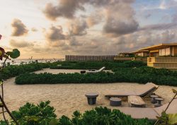 Designed by Ezequiel Ayarza Sforza Kymaia blends environmental regeneration with sustainable design, celebrating biodiversity in every detail