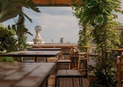 view from La Terraza roof top bar at Pulitzer Barcelona framed by plants