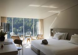 view from guestroom with floor to ceiling glass over to mountainside