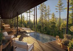 wooden deck, swimming pool in forested location Rosewood Residences Napa Valley