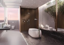 spa bathroom with fittings by TOTO overlooking a planted atrium space