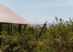external view of landscape and tented cabin at The Revery