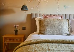 The Tawny Hotel - The Owlets