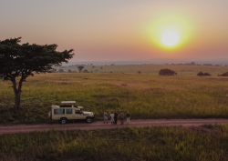 sunset over savannah in Uganda with thorn tree and landrover