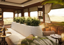 plants and seating in the Observation Car of Belmond Britannic Explorer train