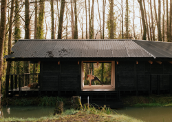 forest cabin with yoga platform