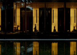 The PuLi silhouette image