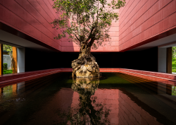 tree in lake in the arrival experience at Banyan Tree Dongguan Songshan Lake Resort