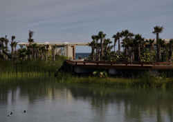 Amanvari, Mexico - Accommodation, Beachfront Casita,