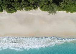 palm trees and beach at Cheval Blanc Seychelles