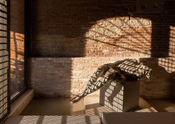 sunlight through window of Venice Venice hotel onto brick wall and reclining statue