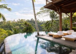 infinity pool in jungle setting at COMO Shambhala Wanakasa Residence Communal Area Pool
