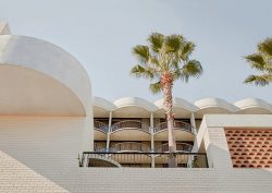 palm trees and facade The Calile Hotel Australia