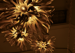 urchin light by Porta Romana